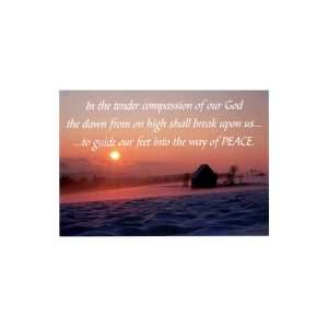 CC 83 Pack of 5 cards with envelopes